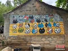 太行山深处，200多只“喵星人”接管了河北一个村